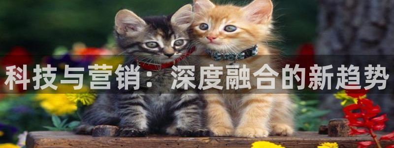 金年会vip888