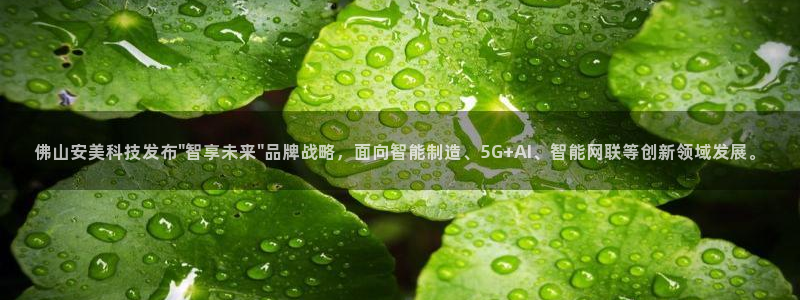 金年会官方平台是什么