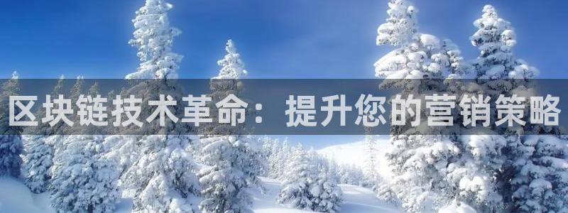 金年会金字招牌