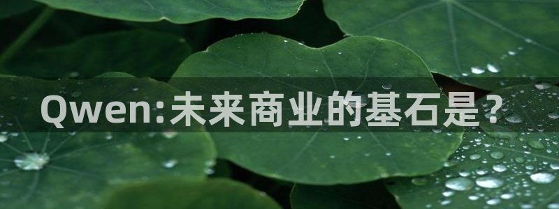 金年会网站入口