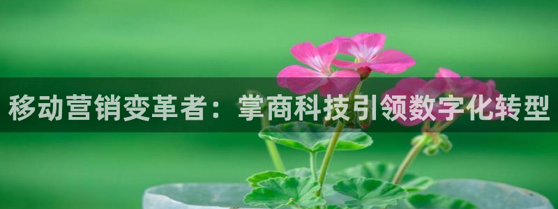 金年会体育怎么样