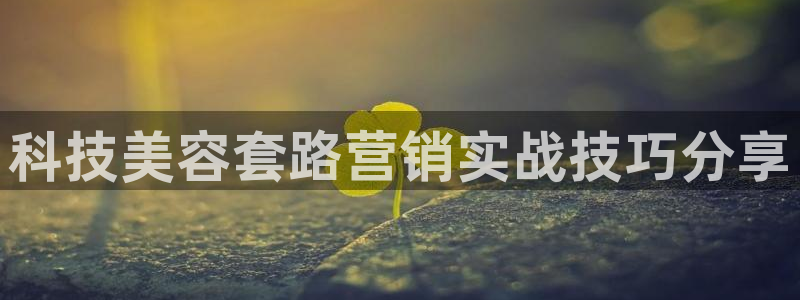 金年会入口登录