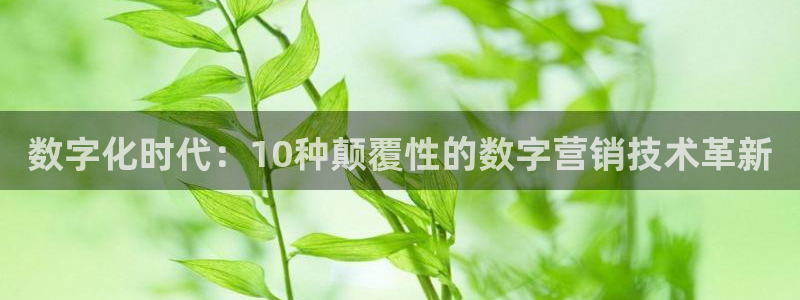 金年会jinnian体育下载app