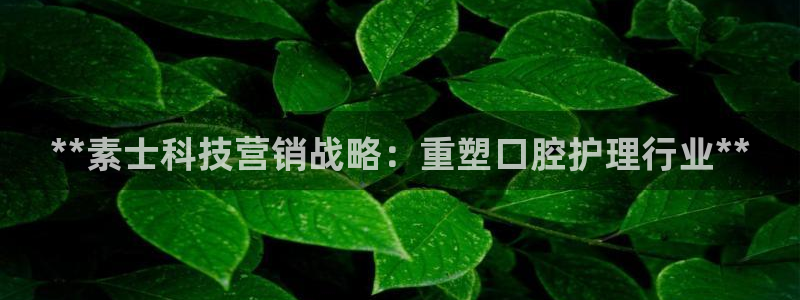 金年会电子官网
