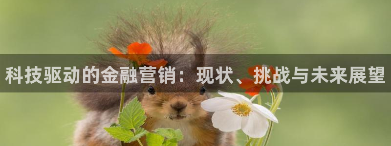 金年会体育app官网86