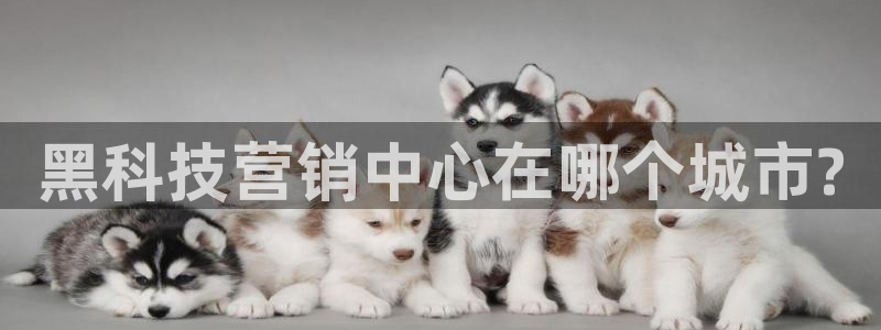 金年会体育APP官方网站