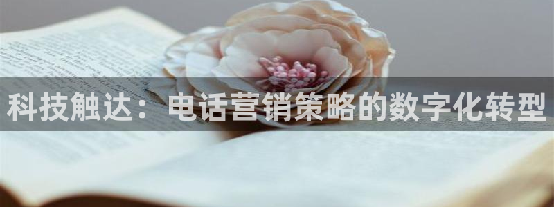 金年会手机版登录