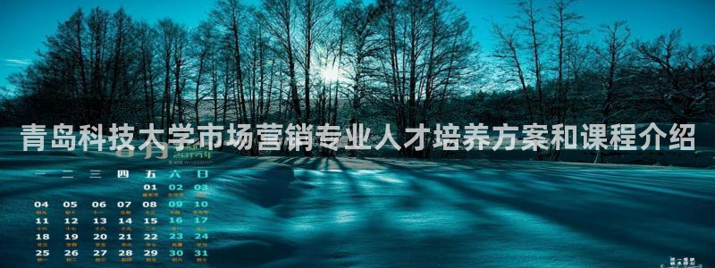 金年会体育平台官网下载app