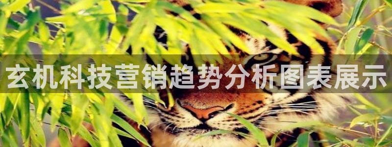 金年会jinnianhuicom