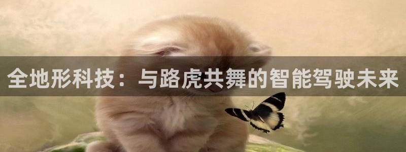 金年会qq群