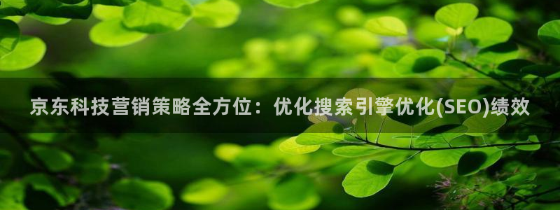 金年会网站怎么样