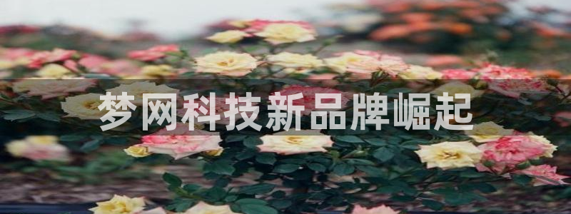 金年会体育app下载官网安卓版