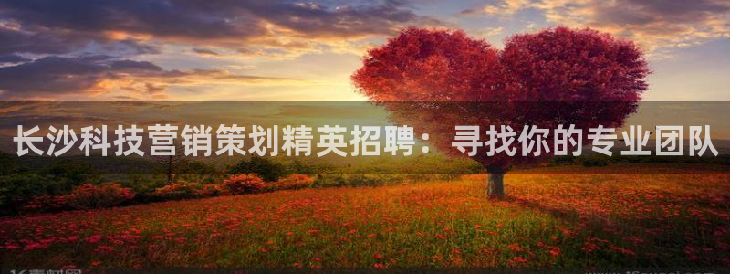 金年会诚信至上金字招牌