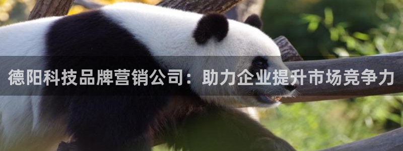 金年会赌博是诈骗吗