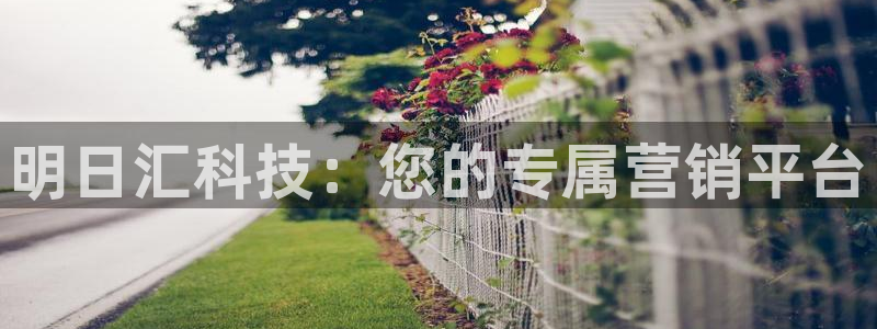 金年会体育app官网入口网址