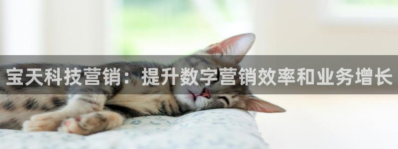 金年会体育APP官方下载