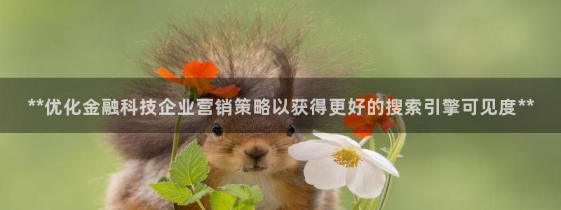 金年会黑不黑