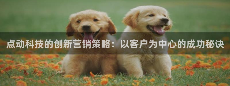 金年会官方下载入口手机版
