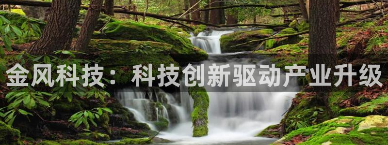 金年会官方在线入口网站查询