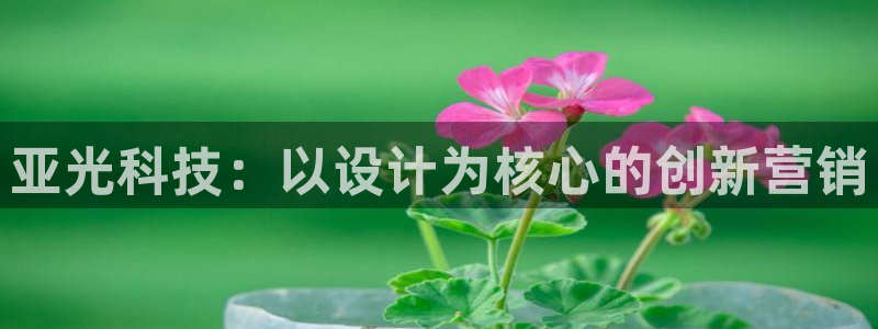 金年会官方在线入口网站2023