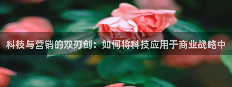 金年会ios