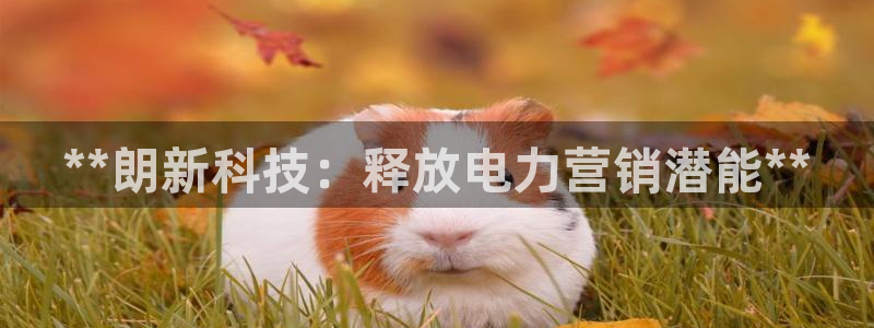 金年会app官方网站下载