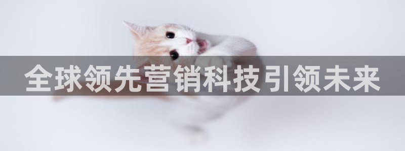 金年会app平台有人玩过吗安全吗