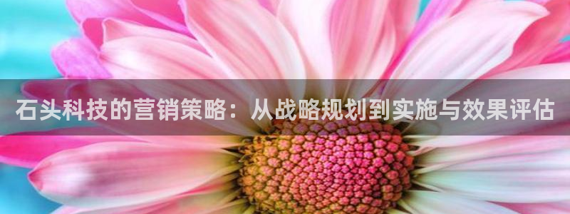 金年会体育一直输
