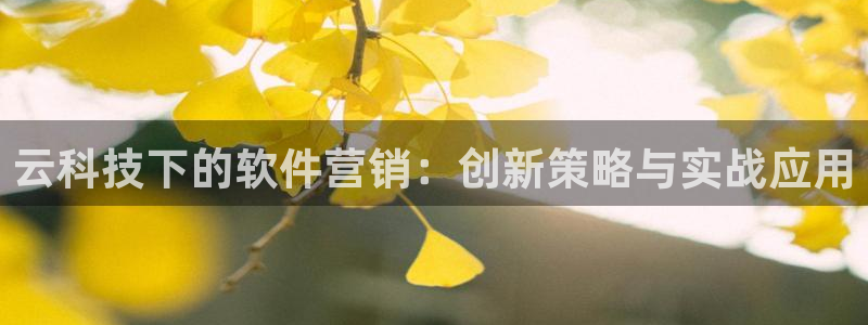 金年会体育手机app下载官网苹果