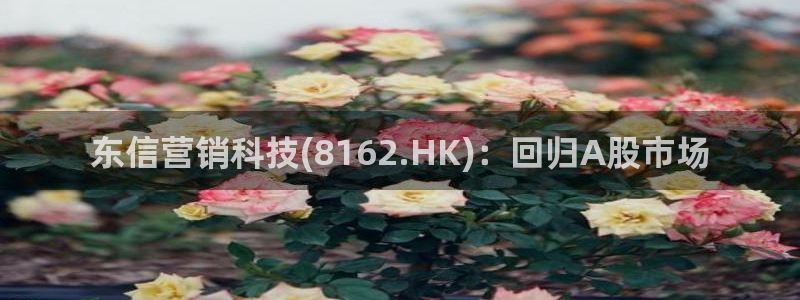 金年会入口网站