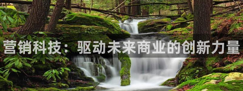 金年会app官网