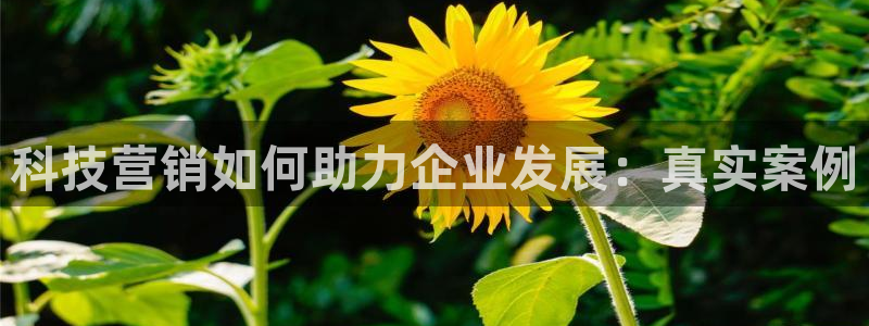 金年会体育全站app