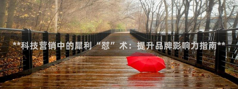 金年会体育官网是多少