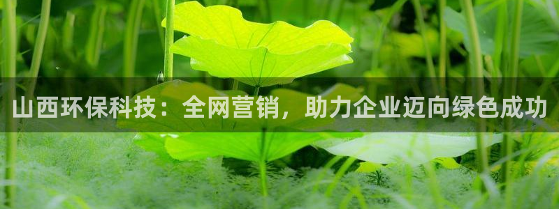 金年会体育竞彩app