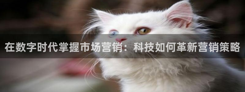 金年会体育网站