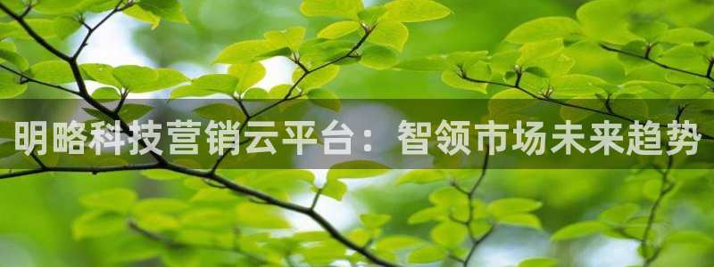 金年会体育买球app下载官网