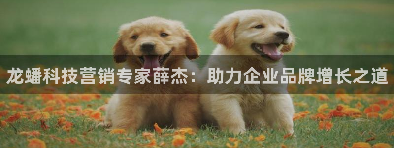 金年会网站事件后果