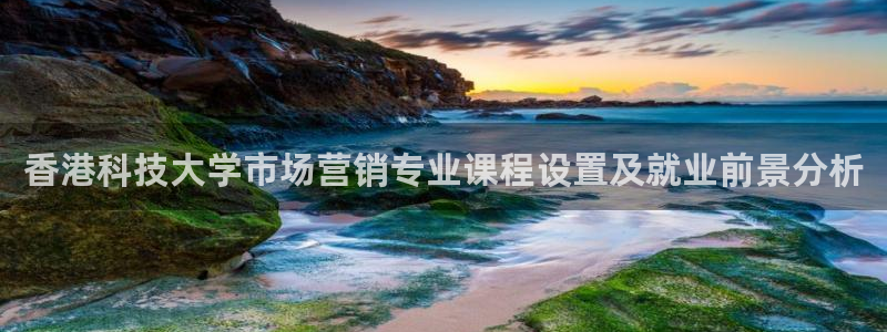 金年会pg电子官网