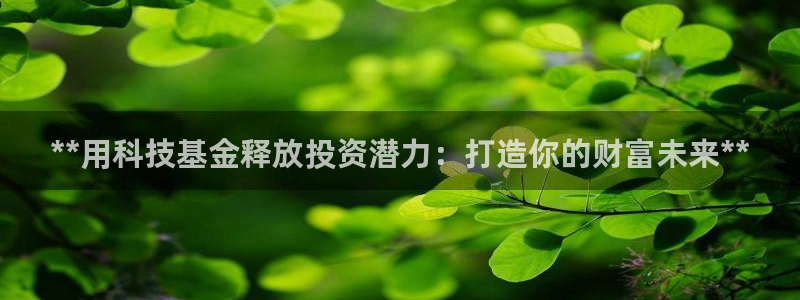 金年会官方入口app