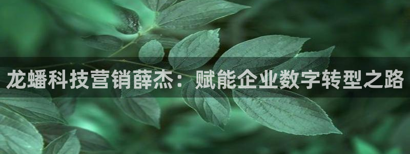 金年会是什么平台会不会提不了现