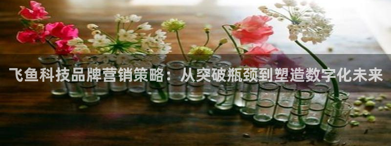 金年会体育是合法的吗