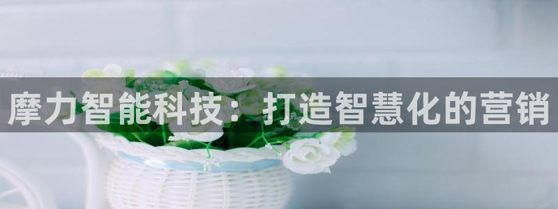 金年会官方进入2023
