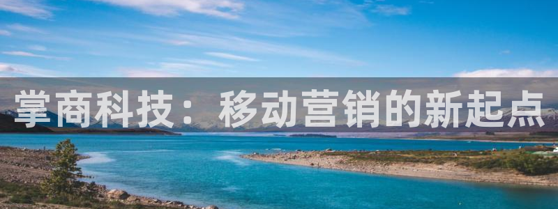金年会电子官网下载