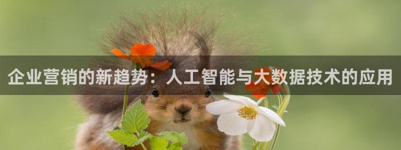 金年会电子官网