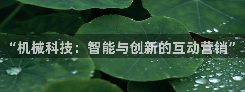 金年会体育app