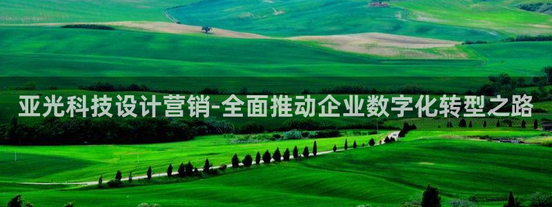 金年会体育app官网入口下载