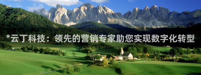 金年会下载