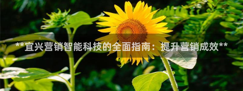 金年会体育app最新官网