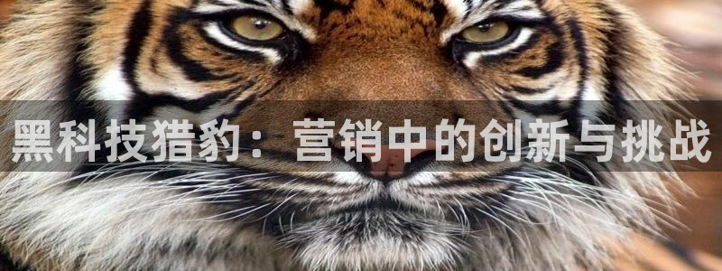 jinnianhui金年会世界杯