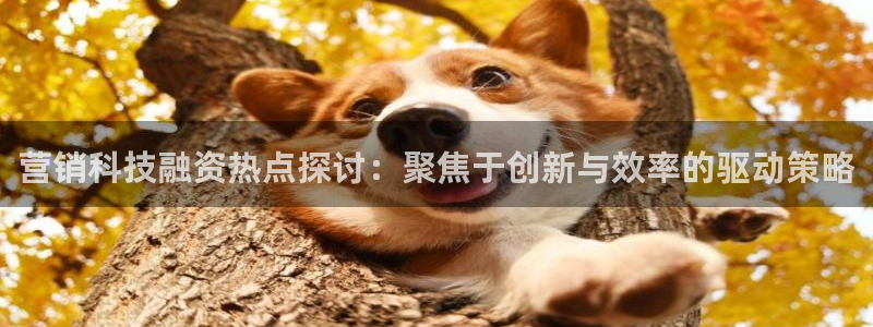 金年会体育一直输